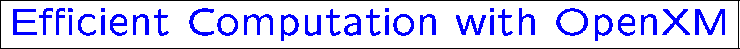 \fbox{\large \color{blue} Efficient Computation with OpenXM}