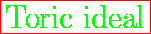 \fbox{\huge
{\color{green} Toric ideal}}